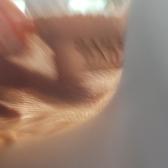 Bailey 44 Sorella Sweater Top in Mocha and Latte - Picture 4 of 4